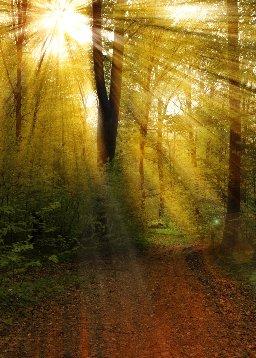 QuranBookk.com: Surah 21 - الأنبيَاء
