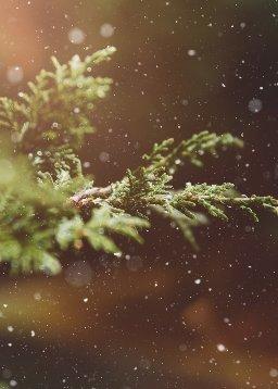QuranBookk.com: Surah 40 - غافِر