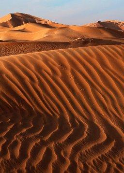 QuranBookk.com: Surah 46 - الأحقاف