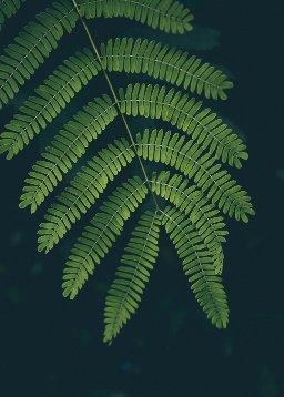 QuranBookk.com: Surah 47 - مُحَمَّد