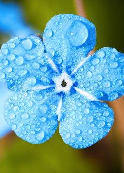 QuranBookk.com: Surah 50 - ق