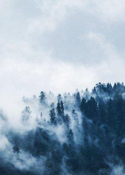 QuranBookk.com: Surah 65 - الطلاق