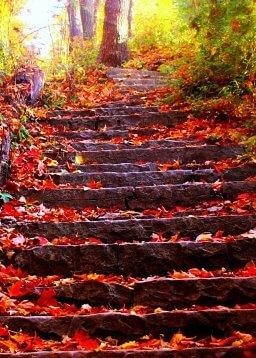 QuranBookk.com: Surah 70 - المعارج