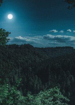 QuranBookk.com: Surah 80 - عبس