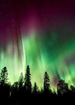 QuranBookk.com: Surah 88 - الغاشية