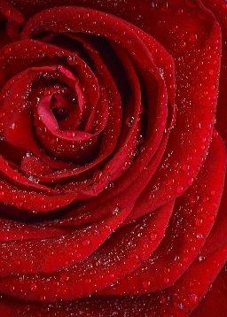 QuranBookk.com: Surah 94 - الشرح