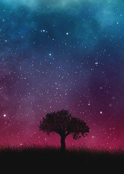 QuranBookk.com: Surah 98 - البينة